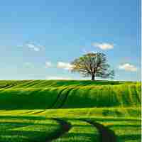 定​制‍网‌站‍加​速​教​程﻿